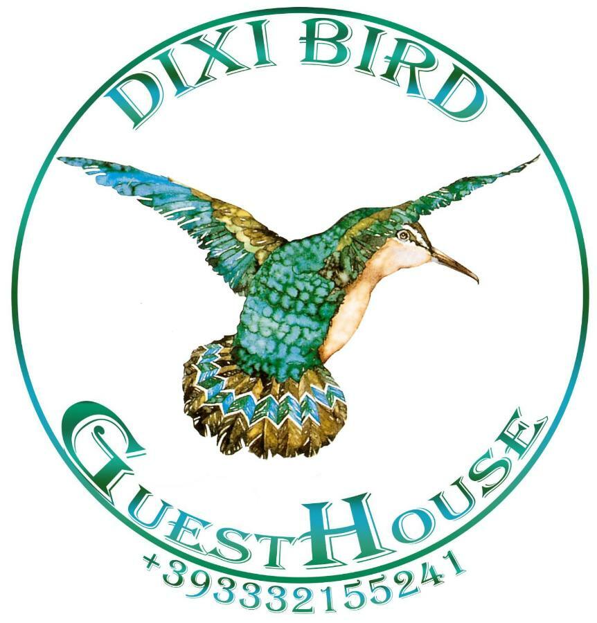 Dixi Bird Guesthouse 罗马 外观 照片